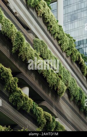 L'emblématique PARKROYAL sur PICKERING intègre une végétation verticale abondante dans leur conception architecturale avec un magnifique mur de plantes vivantes de 30 étages Banque D'Images