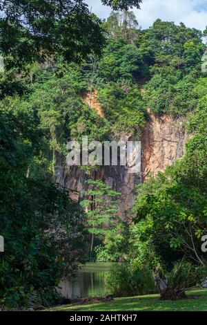 Vue sur la carrière verticale au parc naturel Bukit Batok, Singapour Banque D'Images