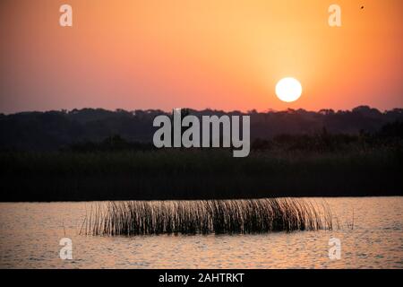 Coucher de soleil sur le lac St Lucia, parc iSimangaliso Wetland Park, Afrique du Sud Banque D'Images