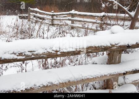 London, Canada - le 31 décembre 2019. Une chute de neige fraîche couvre les arbres dans la tourbière de Sifton, une zone écosensible situé dans la ville. Banque D'Images