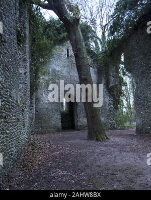 UK, Norfolk - Mars 2018 : l'intérieur des ruines de l'église de Somerton, un jour d'hiver. Banque D'Images