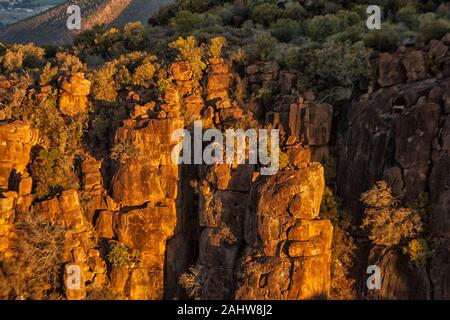Arbres pétrifiés Vallée de la désolation au coucher du soleil dans le Parc National de Camdeboo, Graaff Reinet, Eastern Cape, Afrique du Sud Banque D'Images