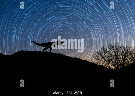 Silhouette de tyrannosaurus rex de nuit avec startrail en arrière-plan. La photo artistique et émotionnel de l'ère des dinosaures de la scène Banque D'Images