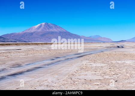 Mirador Volcán Ollagüe ou view point vulcano Ollagüe, Avaroa, Andes, Bolivie, Amérique Amreica Banque D'Images