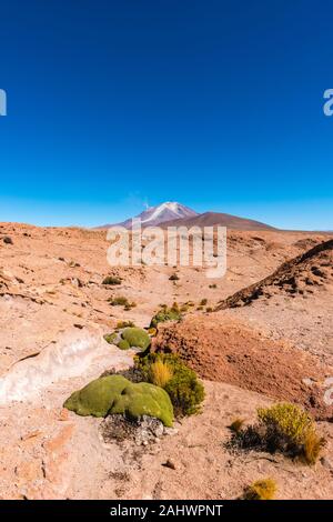 Mirador Volcán Ollagüe ou view point vulcano Ollagüe, Avaroa, Andes, Bolivie, Amérique Amreica Banque D'Images