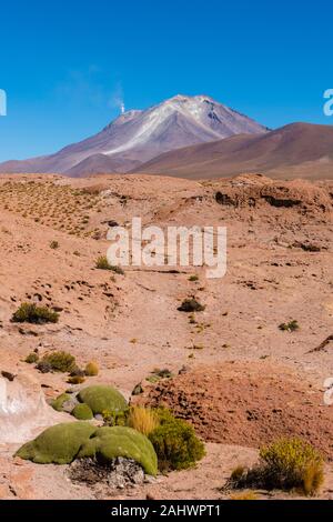 Mirador Volcán Ollagüe ou view point vulcano Ollagüe, Avaroa, Andes, Bolivie, Amérique Amreica Banque D'Images