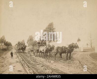 C Antique1890 photographie, équipes de camions sur les routes de campagne boueux dans le New Jersey, USA. SOURCE : photographie originale Banque D'Images