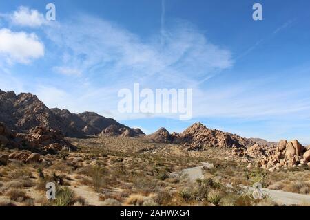 Cette route, par l'intermédiaire d'Affaires indiennes Cove de Joshua Tree National Park, est flanquée par les communautés végétales indigènes du sud du désert de Mojave. Banque D'Images