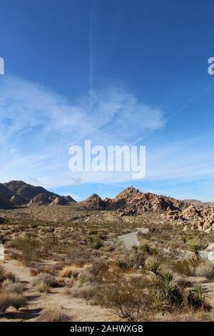 Cette route, par l'intermédiaire d'Affaires indiennes Cove de Joshua Tree National Park, est flanquée par les communautés végétales indigènes du sud du désert de Mojave. Banque D'Images