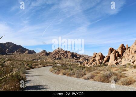Cette route, par l'intermédiaire d'Affaires indiennes Cove de Joshua Tree National Park, est flanquée par les communautés végétales indigènes du sud du désert de Mojave. Banque D'Images