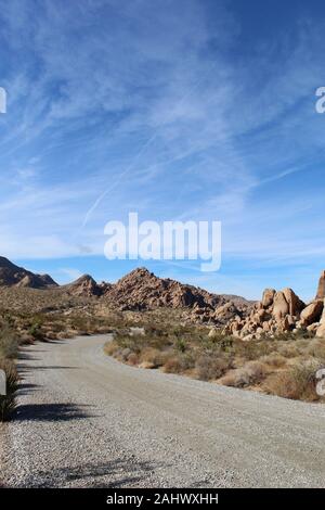 Cette route, par l'intermédiaire d'Affaires indiennes Cove de Joshua Tree National Park, est flanquée par les communautés végétales indigènes du sud du désert de Mojave. Banque D'Images