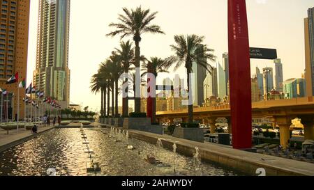 Palmiers babassu dans les rues de Dubaï. Banque D'Images