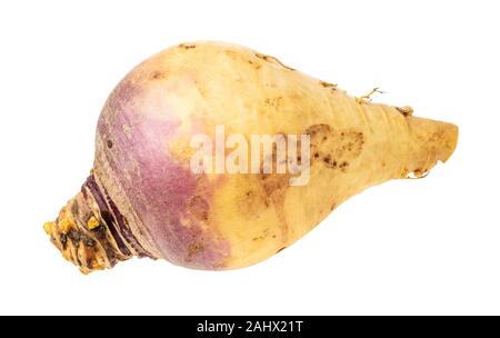 Rutabaga légumes frais découpe racine sur fond blanc Banque D'Images