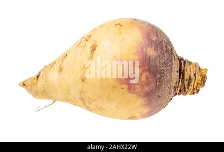 Rutabaga légumes mûrs découpe racine sur fond blanc Banque D'Images