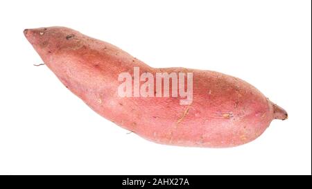 Seule la patate douce (Ipomoea batatas, batata) découpe des tubercules sur fond blanc Banque D'Images