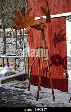 De grands figurines d'orignaux amusantes à l'extérieur après une tempête de neige saluant les clients. Certains sont fabriqués à partir de mousse de sphagnum et d'autres figurines d'art métallique. Banque D'Images