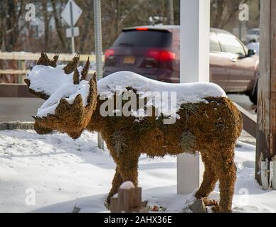 De grands figurines d'orignaux amusantes à l'extérieur après une tempête de neige saluant les clients. Certains sont fabriqués à partir de mousse de sphagnum et d'autres figurines d'art métallique. Banque D'Images