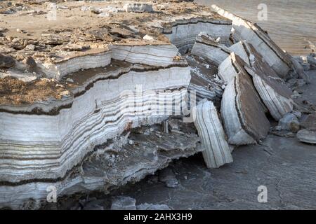 Couches annuelles de sel et de minéraux déposées sur les rives de la mer Morte, exposées par des niveaux d'eau en baisse. Banque D'Images