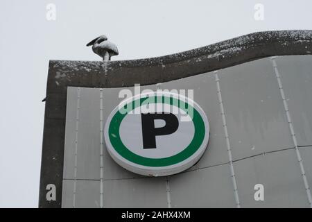 Sculpture en béton d'une grue sur le bord du toit au-dessus d'un parking vert et blanc sur le côté du garage dans le Glebe, Ottawa. Banque D'Images