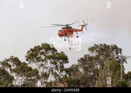 Erickson Air Crane (hélicoptère Sikorsky S-64) N243AC La suppression d'une grande charge de l'eau sur un incendie à l'appui des efforts de lutte contre l'incendie par des équipages sur th Banque D'Images