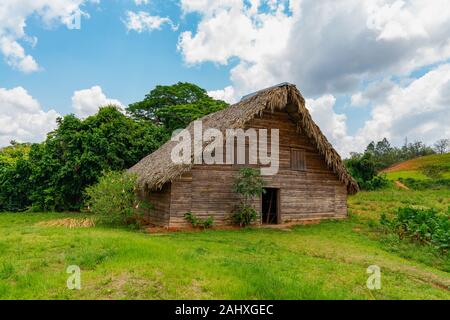 Remise du tabac ou le tabac barn pour le séchage des feuilles de tabac à Cuba, province de Pinar del Rio Banque D'Images