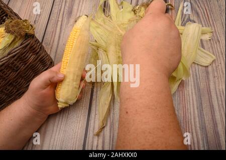 Les mains d'un homme nettoyer un épi de maïs sur un fond de bois. Chasse d'automne, l'alimentation saine, régime de remise en forme. Close up Banque D'Images
