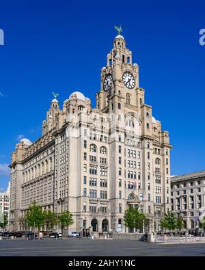 Le Royal Liver Building (1911) est un bâtiment classé sur Pier Head, Liverpool, Angleterre, Royaume-Uni Banque D'Images