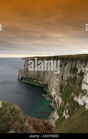 Vue sur les falaises de Bempton RSPB, village de Bempton, East Riding of Yorkshire, Angleterre, Royaume-Uni Banque D'Images