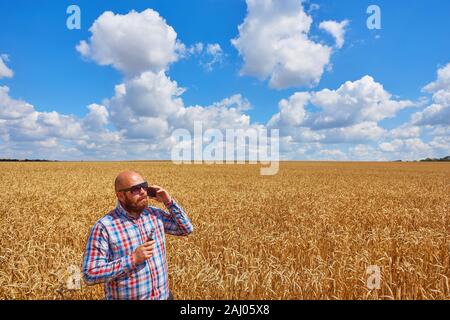 Agriculteur fume cigarette électronique dans un champ de blé avec ciel bleu, grande moisson Banque D'Images