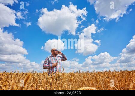 Agriculteur fume cigarette électronique dans un champ de blé avec ciel bleu, grande moisson Banque D'Images