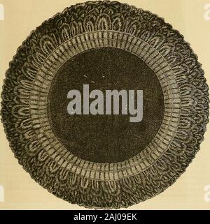 Le Ladies' guide pour travaux d'aiguille, broderie, etc : être un guide complet de tous les types de vêtements de travail de fantaisie . - -   ? [ 1 - • - dames guide pour l'aiguille. 15 Broderie en plumes. La pièce de stuff, chiffon, net, mousseline, velours, ou que vous brodez,doit être cousue par une image, et la conception tracé sur elle. Après avoir sélectionné des thefeathers ces couleurs que vous avez besoin pour la fleur ou oiseau que vous souhaitez représenter,prendre un pinceau et soigneusement couvrir l'intérieur d'eux-mêmes avec vert ; lorsqu'il est sec,. Fig. 16.-LAMPE-MAT tN FEATHER BRODERIE. les couper avec une paire de ciseaux pointus, en forme de Banque D'Images