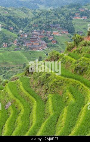 Une vue d'un village sur les terrasses de riz de Longsheng, Guilin, Chine Banque D'Images