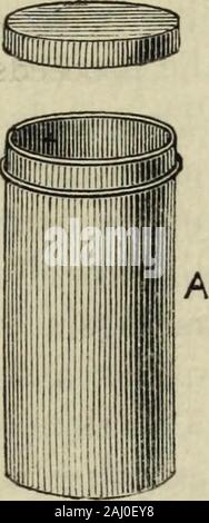 Magie moderne : un traité sur l'art de l'illusionnisme. . À la vitre, et est remis à la deuxième jeune homme asa récompense pour ses efforts. A agi avec l'esprit, ce petit interlude est sûr d'un uproariousreception à partir de la partie de l'auditoire, surtout si theoperator possède la magie bradawl décrits à la page 332, et de l'alésage d'makesuse il un petit trou dans le coude de la pompe avant d'beginningto victimes le vin à partir de celui-ci. Le Fort de son transformé pour une bouteille de vin.-tandis que sur le sujet de vin tri&lt;ks nous pouvons mentionner ce qui, loin d'être le moins surprisi Banque D'Images