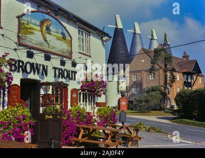 La truite de pub. Lamberhurst. Kent' en Angleterre. UK Banque D'Images