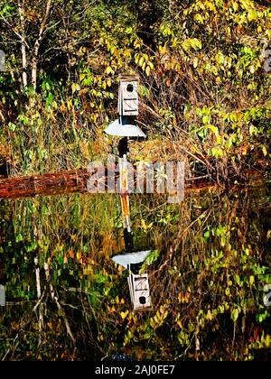 Réflexion de Birdhouse dans le lac Banque D'Images