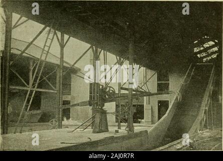Le sucre de canne ; un manuel sur l'agriculture de la canne à sucre, la fabrication de sucre de canne, et l'analyse du sucre produits maison . ialagent entraînant l'inversion du sucre est, comme cela a été montré par Browne et Blouin,^une enzyme qui se trouve dans le vert haut de la canne à sucre, et qui après le stalkhas été coupés se diffuse dans le corps de la canne. Des expériences faites par themin Louisiane a donné les résultats suivants sur les cannes qui ont été préservés ou andainé pour les planter en s'enfouissant dans le sol. Le dura-tion de l'essai était d'un mois. La RÉCOLTE DE LA CANNE 183 Tops Tops 82-6o3 coupe à gauche sur 76-1 P Banque D'Images