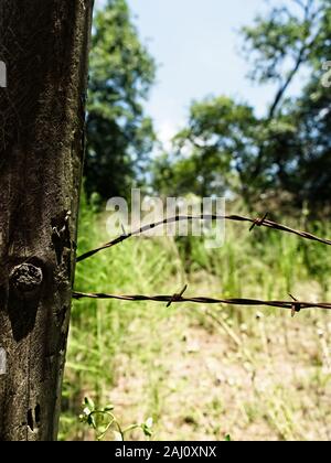 The Woodlands TX USA - 07/12/2019 - Poster et barbelés Banque D'Images