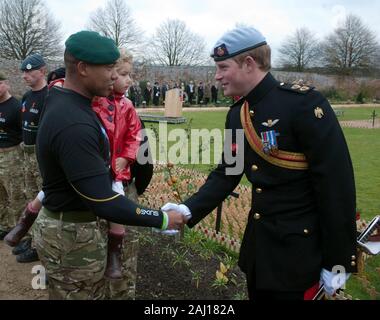 Le prince Harry s'ouvre officiellement la Wootton Bassett Domaine du souvenir au parc Lydiard près de Swindon. Le memorial field est dédié à Wootton Bassett en reconnaissance de son rôle dans le rapatriement des personnes tuées dans les conflits armés comme ils passent par la ville. Banque D'Images