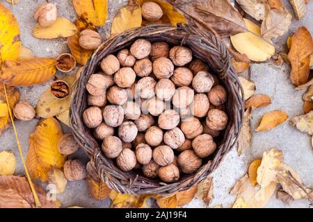 Chasse d'automne. Les noix non pelées dans un panier en osier au jardin sur fond de tombée des feuilles jaunes. Mise à plat, vue du dessus Banque D'Images
