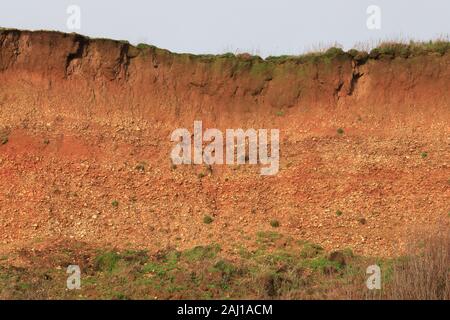 L'érosion côtière sur Hordle Falaise, 24 décembre 2019, Lymington, Hampshire, Royaume-Uni Banque D'Images
