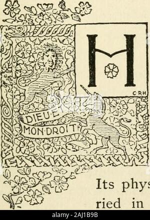 L'invasion française de l'Irlande en '98 feuilles de l'histoire non écrite qui racontent d'un effort héroïque et une perte d'occasion de se libérer du joug de l'Angleterre . atCastlebar horaires ont été forces mys en augmentation. Général Hutch-inson y était arrivé, ils ont dit, avec son Galwaydivision, et des renforts ont été constamment inscrivez-vous- 1 mémoires Musgraves, page 583.  ?2 INVASION FRANÇAISE DE L'Irlande. lui ing.1 Ce n'était donc pas le temps de tergiversations. Après quelques heures de repos le gé-nérale français, avec tout son corps, déplacé hors de la capitale de l'Ballinatoward Mayo. C'était trois oclockin threateni l'après-midi, et Banque D'Images