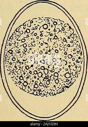 Les méthodes de diagnostic, chimiques, bactériologiques et de microscopie : un texte-livre pour les étudiants et les praticiens . Banque D'Images