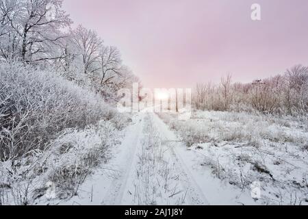 Paysage gelé. Un chemin de terre s'enfonce dans la forêt. Sur ce froid matin d'hiver, les buissons, les arbres et les clôtures sont couverts de givre. Banque D'Images