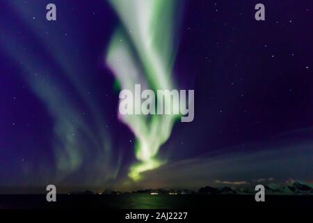 Northern Lights (aurores boréales), show spectaculaire en hiver, Mer de Norvège, au large des îles Lofoten, Nordland, Cercle arctique, au nord de la Norvège, de l'Europe Banque D'Images