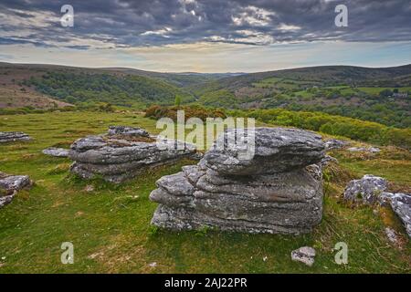 Un énorme bloc de granite sur banc de la Tor, l'un des caractéristiques classiques de paysage du Parc National de Dartmoor, dans le Devon, Angleterre, Royaume-Uni, Europe Banque D'Images