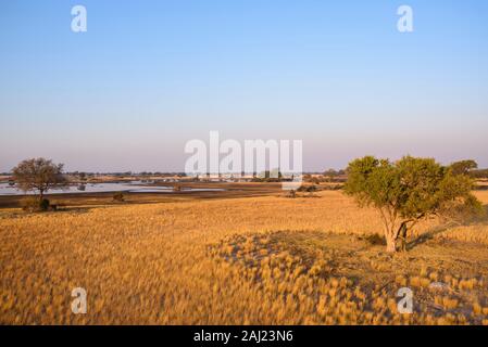 Vue aérienne du Delta de l'Okavango vu à partir d'une balade en montgolfière, Plaines Bushman, Okavango Delta, Botswana, Africa Banque D'Images