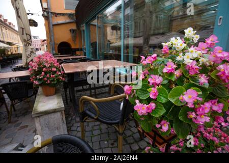 BRASOV, Roumanie 24 JUILLET 2019 - vue sur le café sur la place principale à l'Brasov. BRASOV, ROUMANIE, Juillet 24, 2020 Banque D'Images