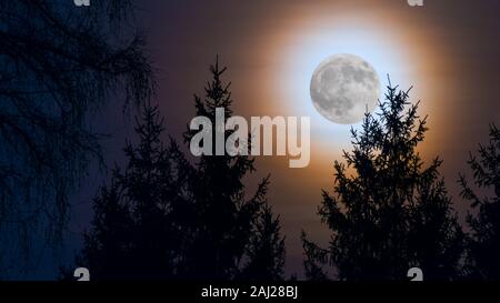 Pleine lune ronde corona arc-en-ciel. De Lune sur nuit. Moonrise Orange. Sapin haut silhouettes en soirée de la forêt au crépuscule. Vue panoramique du crépuscule. Banque D'Images