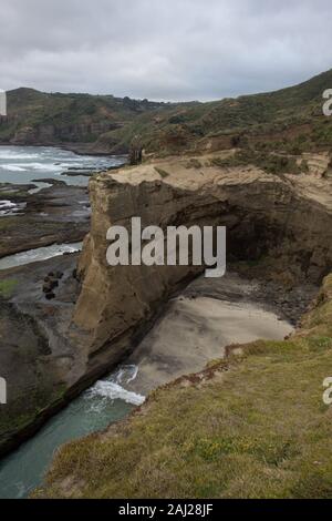 Formations de la falaise Te Henga promenade côtière, Muriwai et Bethells Beach, Auckland, Nouvelle-Zélande. Banque D'Images