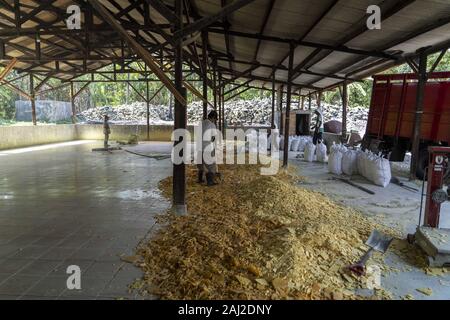 Banyuwangi, Indonésie. Dec 10, 2019. Soufre purifiée s'entasse attendent d'être chargés dans des sacs et transportés loin de l'usine de soufre en pleine jungle près de Banyuwangi.L'Ijen volcano est un des rares endroits où le soufre est plus exploitée sans machines, le cratère sur le volcan a un évent actif qui produit le soufre élémentaire. L'inhalation de gaz de soufre peut causer des répercussions à long terme sur la santé mais malgré cela, il n'y a pas de pénurie de mineurs locaux prêts à tout risquer pour gagner un bon salaire, les mineurs font un revenu moyen trois fois plus élevé que le salaire local. Pu Banque D'Images